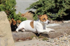IMG 3655